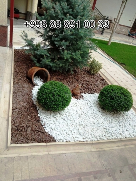  shakarcha.uz in Khorezm Cost Video Review Photo, shakarcha.uz in Syrdarya Cost Video Review Photo, shakarcha.uz in Uzbekistan Price Photo Video Cost ReView, shakarcha.uz in Namangan Price Photo Video Cost, shakarcha.uz в Андижане Цена Фото Обзор, shakarcha.uz in Kashkadarya Cost Video Review Photo, Xorazm shakarcha.uz Narxi Video Foto Rasm, Qoraqalpog‘iston Nukus shakarcha.uz Narxi Rasm Video Foto Narxi, shakarcha.uz Самарканде Цена Фото Обзор, shakarcha.uz in Surkhandarya Cost Video Review Photo, shakarcha.uz в Кашкадарье Цена Фото Обзор, shakarcha.uz Самарканде Цена Фото Обзор, Jizzax shakarcha.uz Video Narxi Rasm Foto, shakarcha.uz in Andijan Cost Video Review Photo, shakarcha.uz Сурхандарье Фото Цена Обзор Видео, Surxondaryo shakarcha.uz Narxi Rasm Video Foto, shakarcha.uz Нукусе Цена Фото Обзор, Namangan shakarcha.uz Video Foto Narxi Rasm, shakarcha.uz в Ташкенте Узбекистане Цена Фото Обзор, shakarcha.uz in Nukus Photo Video Cost ReView Price, shakarcha.uz в Ташкенте Узбекистане Цена Фото Обзор, shakarcha.uz in Karakalpakstan Nukus Cost Video Review Photo, shakarcha.uz in Fergana Photo Cost Video Review, Samarqand shakarcha.uz Foto Narxi Rasm Video Abzor, Qashqadaryo shakarcha.uz Narxi Rasm Video Foto, shakarcha.uz Джизаке, shakarcha.uz Навои Цена Фото Обзор, shakarcha.uz in Jizzakh Cost Video Review Photo, shakarcha.uz in Bukhara Cost Video Review Photo, shakarcha.uz in Navoi Cost Photo Video Review, Nukus shakarcha.uz Narxi, shakarcha.uz в Каракалпакистане Нукусе Цена Фото Обзор, shakarcha.uz in Samarkand Price Photo Video Cost, shakarcha.uz Хорезме Фото Цена Обзор, Sirdaryo shakarcha.uz Narxi Rasm Video Abzor Foto, O'zbekiston shakarcha.uz, Andijon shakarcha.uz Narxi Rasm Foto Video, Buxoro shakarcha.uz Video Narxi Rasm Foto, Farg'ona shakarcha.uz Narxi Video Foto Rasm, rasm, shakarcha.uz в Бухаре Цена Фото Обзор, Navoiy shakarcha.uz Video Foto Narxi Rasm, shakarcha.uz Фергане Фото Цена Обзор, shakarcha.uz в Сырдарье Цена Фото Обзор, shakarcha.uz Намангане Цена Фото Обзор 