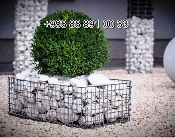  shakarcha.uz in Syrdarya Cost Video Review Photo, shakarcha.uz in Fergana Photo Cost Video Review, shakarcha.uz Сурхандарье Фото Цена Обзор Видео, Xorazm shakarcha.uz Narxi Video Foto Rasm, shakarcha.uz Самарканде Цена Фото Обзор, Sirdaryo shakarcha.uz Narxi Rasm Video Abzor Foto, shakarcha.uz в Кашкадарье Цена Фото Обзор, shakarcha.uz in Samarkand Price Photo Video Cost, shakarcha.uz в Андижане Цена Фото Обзор, shakarcha.uz Хорезме Фото Цена Обзор, Navoiy shakarcha.uz Video Foto Narxi Rasm, shakarcha.uz в Сырдарье Цена Фото Обзор, Nukus shakarcha.uz Narxi, shakarcha.uz in Karakalpakstan Nukus Cost Video Review Photo, shakarcha.uz в Ташкенте Узбекистане Цена Фото Обзор, Qashqadaryo shakarcha.uz Narxi Rasm Video Foto, Andijon shakarcha.uz Narxi Rasm Foto Video, Qoraqalpog‘iston Nukus shakarcha.uz Narxi Rasm Video Foto Narxi, Buxoro shakarcha.uz Video Narxi Rasm Foto, shakarcha.uz in Andijan Cost Video Review Photo, O'zbekiston shakarcha.uz, shakarcha.uz Джизаке, shakarcha.uz в Ташкенте Узбекистане Цена Фото Обзор, shakarcha.uz в Бухаре Цена Фото Обзор, Samarqand shakarcha.uz Foto Narxi Rasm Video Abzor, shakarcha.uz in Uzbekistan Price Photo Video Cost ReView, shakarcha.uz Намангане Цена Фото Обзор, shakarcha.uz in Kashkadarya Cost Video Review Photo, Farg'ona shakarcha.uz Narxi Video Foto Rasm, rasm, shakarcha.uz Нукусе Цена Фото Обзор, shakarcha.uz Фергане Фото Цена Обзор, shakarcha.uz in Jizzakh Cost Video Review Photo, shakarcha.uz in Bukhara Cost Video Review Photo, shakarcha.uz in Surkhandarya Cost Video Review Photo, shakarcha.uz Навои Цена Фото Обзор, shakarcha.uz in Nukus Photo Video Cost ReView Price, shakarcha.uz in Navoi Cost Photo Video Review, shakarcha.uz in Namangan Price Photo Video Cost, shakarcha.uz в Каракалпакистане Нукусе Цена Фото Обзор, Namangan shakarcha.uz Video Foto Narxi Rasm, shakarcha.uz in Khorezm Cost Video Review Photo, shakarcha.uz Самарканде Цена Фото Обзор, Jizzax shakarcha.uz Video Narxi Rasm Foto, Surxondaryo shakarcha.uz Narxi Rasm Video Foto 