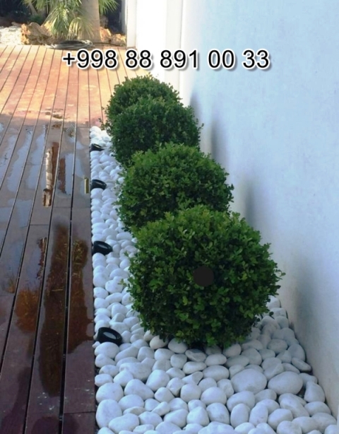  Navoiy shakarcha.uz Video Foto Narxi Rasm, shakarcha.uz в Андижане Цена Фото Обзор, Andijon shakarcha.uz Narxi Rasm Foto Video, Surxondaryo shakarcha.uz Narxi Rasm Video Foto, shakarcha.uz Намангане Цена Фото Обзор, Jizzax shakarcha.uz Video Narxi Rasm Foto, shakarcha.uz в Кашкадарье Цена Фото Обзор, shakarcha.uz in Fergana Photo Cost Video Review, shakarcha.uz Хорезме Фото Цена Обзор, shakarcha.uz in Uzbekistan Price Photo Video Cost ReView, Farg'ona shakarcha.uz Narxi Video Foto Rasm, rasm, shakarcha.uz Сурхандарье Фото Цена Обзор Видео, shakarcha.uz в Каракалпакистане Нукусе Цена Фото Обзор, Qoraqalpog‘iston Nukus shakarcha.uz Narxi Rasm Video Foto Narxi, shakarcha.uz Самарканде Цена Фото Обзор, shakarcha.uz Навои Цена Фото Обзор, shakarcha.uz in Surkhandarya Cost Video Review Photo, Nukus shakarcha.uz Narxi, O'zbekiston shakarcha.uz, shakarcha.uz in Karakalpakstan Nukus Cost Video Review Photo, shakarcha.uz in Syrdarya Cost Video Review Photo, shakarcha.uz в Бухаре Цена Фото Обзор, shakarcha.uz in Nukus Photo Video Cost ReView Price, shakarcha.uz in Bukhara Cost Video Review Photo, shakarcha.uz in Jizzakh Cost Video Review Photo, Qashqadaryo shakarcha.uz Narxi Rasm Video Foto, shakarcha.uz Самарканде Цена Фото Обзор, Buxoro shakarcha.uz Video Narxi Rasm Foto, shakarcha.uz Нукусе Цена Фото Обзор, Samarqand shakarcha.uz Foto Narxi Rasm Video Abzor, shakarcha.uz in Khorezm Cost Video Review Photo, Xorazm shakarcha.uz Narxi Video Foto Rasm, shakarcha.uz in Namangan Price Photo Video Cost, shakarcha.uz Фергане Фото Цена Обзор, shakarcha.uz в Ташкенте Узбекистане Цена Фото Обзор, shakarcha.uz in Kashkadarya Cost Video Review Photo, Namangan shakarcha.uz Video Foto Narxi Rasm, shakarcha.uz в Ташкенте Узбекистане Цена Фото Обзор, shakarcha.uz in Andijan Cost Video Review Photo, shakarcha.uz в Сырдарье Цена Фото Обзор, shakarcha.uz in Navoi Cost Photo Video Review, Sirdaryo shakarcha.uz Narxi Rasm Video Abzor Foto, shakarcha.uz Джизаке, shakarcha.uz in Samarkand Price Photo Video Cost 